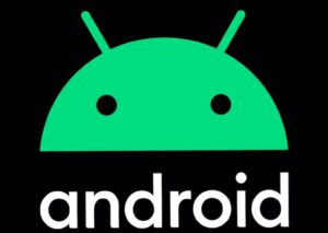 WhatsApp-Image-2024-04-28-at-9.57.43-PM-300x213